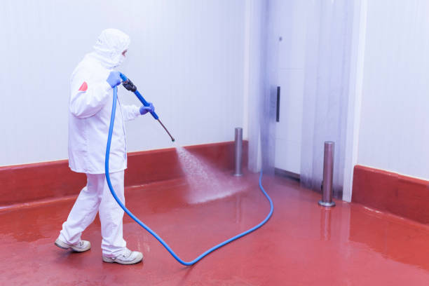 Best Playground Equipment Cleaning  in Bushland, TX